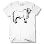 Men's Tshirt Thumbnail