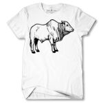 Men's Tshirt Thumbnail