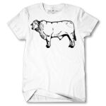 Men's Tshirt Thumbnail