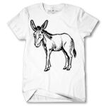 Men's Tshirt Thumbnail