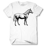 Men's Tshirt Thumbnail