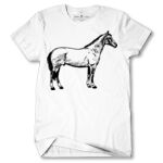 Men's Tshirt Thumbnail