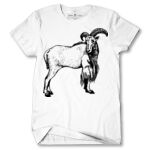 Men's Tshirt Thumbnail