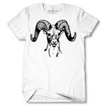 Men's Tshirt Thumbnail