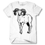 Men's Tshirt Thumbnail