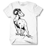 Men's Tshirt Thumbnail