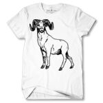 Men's Tshirt Thumbnail