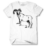 Men's Tshirt Thumbnail