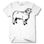 Men's Tshirt Thumbnail