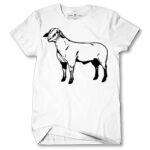 Men's Tshirt Thumbnail