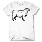 Men's Tshirt Thumbnail