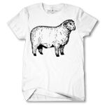 Men's Tshirt Thumbnail