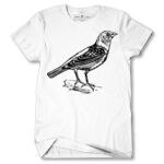 Men's Tshirt Thumbnail