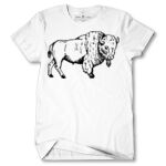 Men's Tshirt Thumbnail