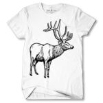 Men's Tshirt Thumbnail