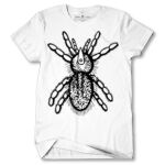 Men's Tshirt Thumbnail