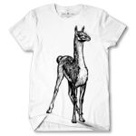 Men's Tshirt Thumbnail