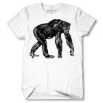 Men's Tshirt Thumbnail