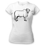 Women's Tshirt Thumbnail