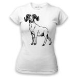 Women's Tshirt Thumbnail