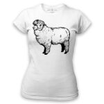 Women's Tshirt Thumbnail